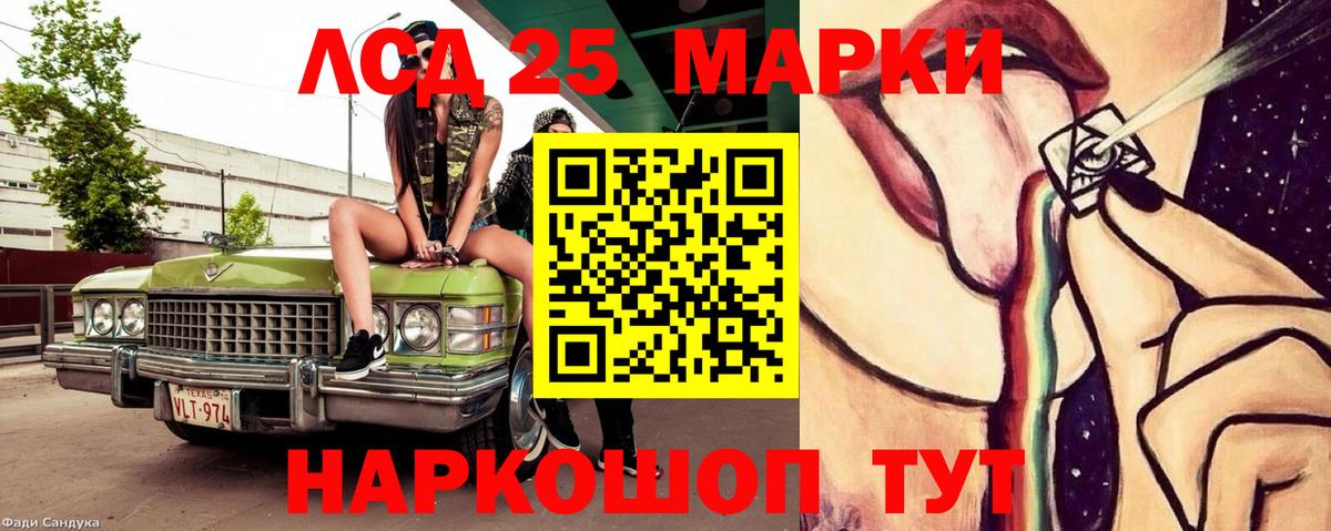 Новозыбков    онион  LSD-25 экстази кислота  ЛСД экстази  Вход с VPN  LSD-25 экстази ecstasy 