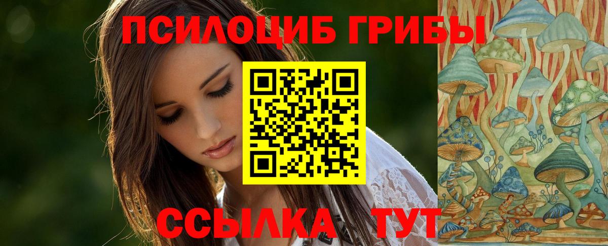Новозыбков  Псилоцибиновые грибы ЛСД  Вход с VPN 